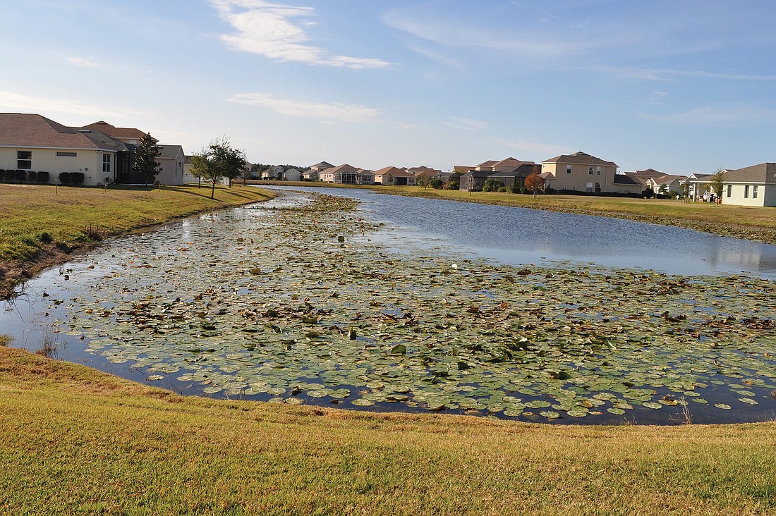 This pond in the Banks section of Greenbrook East is causing concern for some homeowners, who believe the large number of lily pads is unreasonable and aesthetically displeasing.