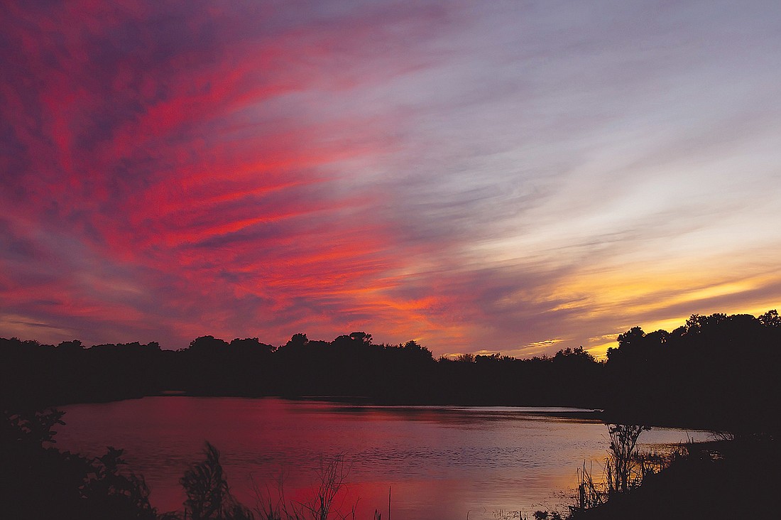 Rob Mason submitted this sunset photo, taken at Heron's Nest Park in Lakewood Ranch.