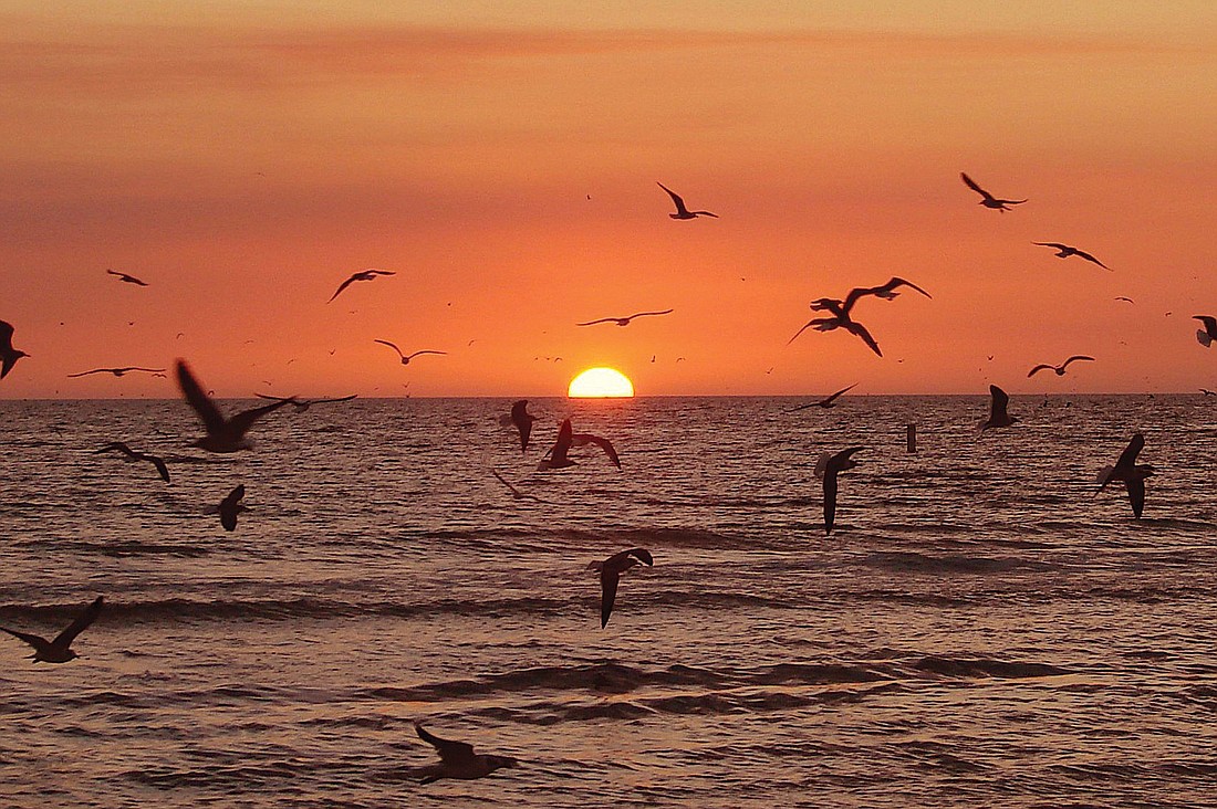 Richard Chen submitted this sunset photo, taken on Siesta Key beach.