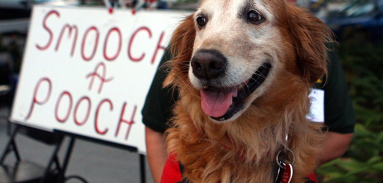 Casey was one of the many pooches who gave out kisses Friday evening.