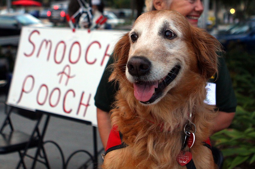 Casey was one of the many pooches who gave out kisses Friday evening.