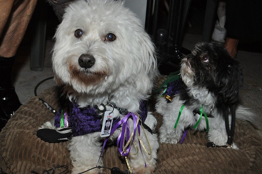 Bugsy and Ceili dressed for the occasion