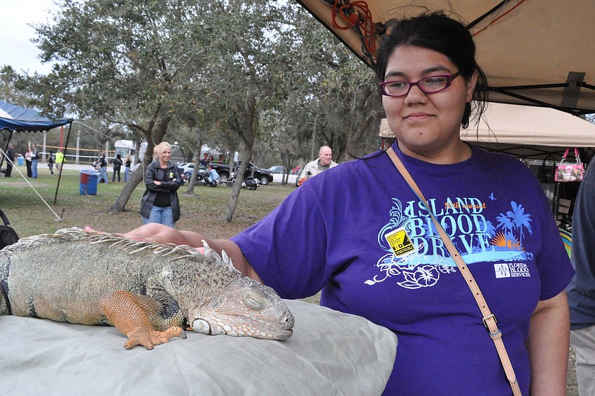 Amy Danielle Ortiz Padelford petted Causeway.