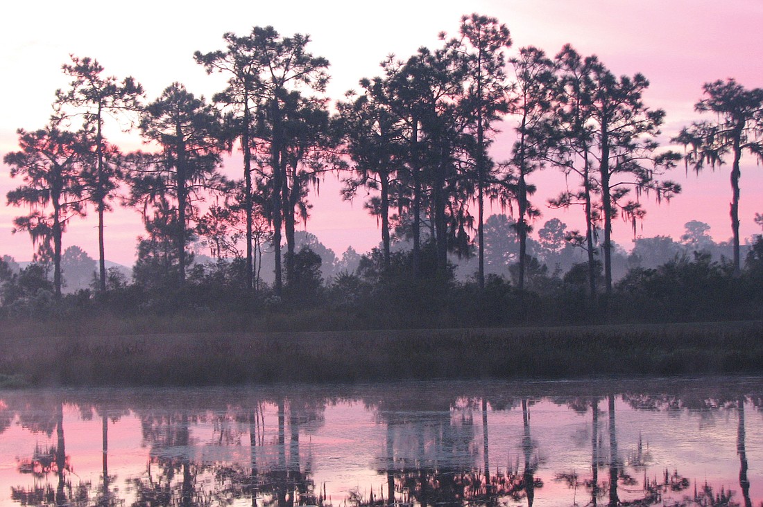 Liz Cantarine captured this pink sunrise over a pond in Lakewood Ranch.