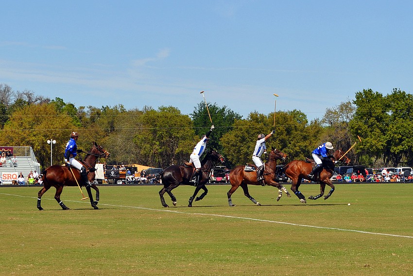 M&I Wealth Management played Wildcat Polo, Sunday, March 4, out at the Sarasota Polo Grounds. Wildcat Polo won.