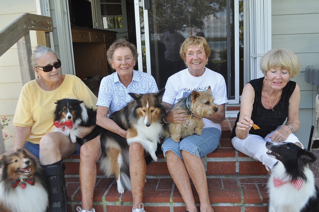 Mary Angioletti with Simba and Sammy, Joan Smith with Honey, Pauline Young with Katie and Rosemarie Hodges with Elliott