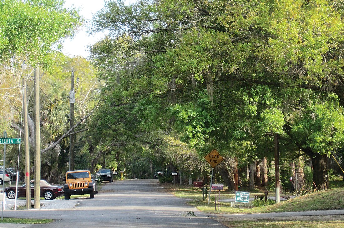 Sarasota CountyÃ¢â‚¬â„¢s canopy roads are distinguished by their abundance of shade, thanks to the numerous trees and their overhanging branches. Photo by Rachel Brown Hackney.