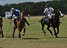 Guests enjoyed watching the Inter-Circuit Championship 12 Goal Finals.