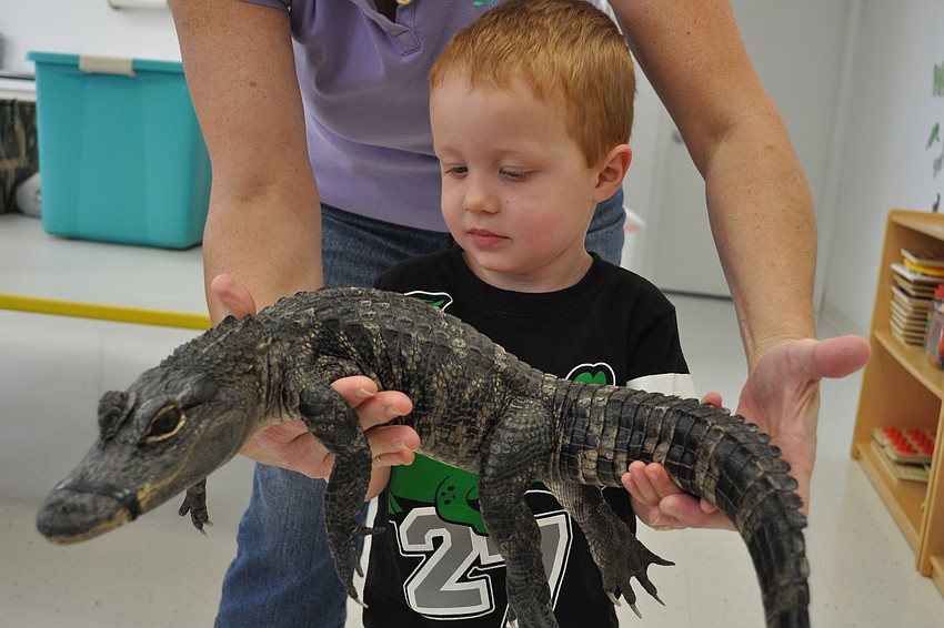 Aiden Buck, 3, was enthralled with the animals.