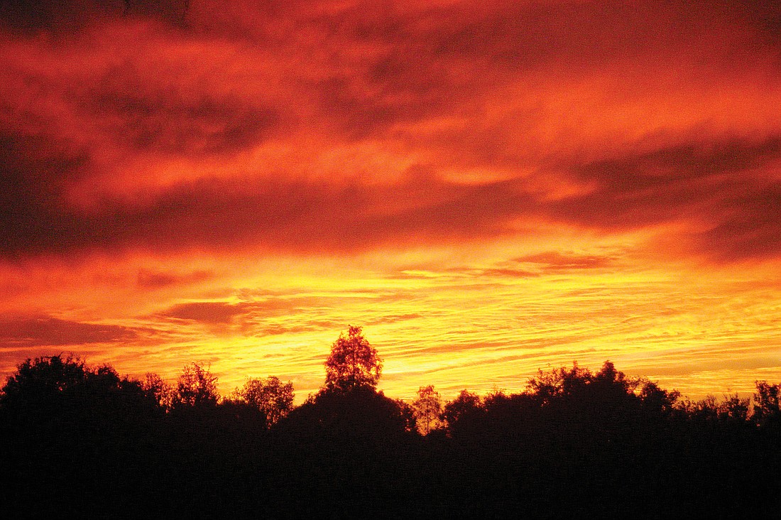 Lisa Leberth-Yow photographed the sun setting over Old Myakka.