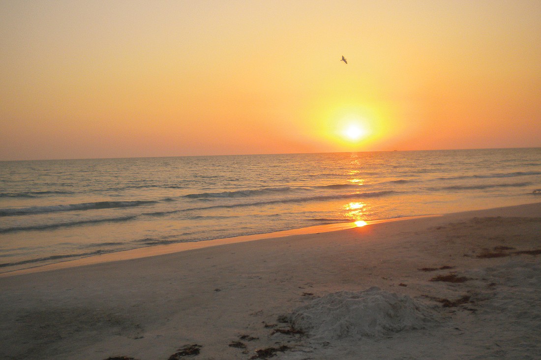 East County resident Sandra Otto captured this sunset on Anna Maria Island.