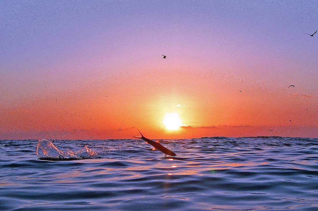 David Johnson submitted this sunset photo, taken on the north end of Longboat Key.