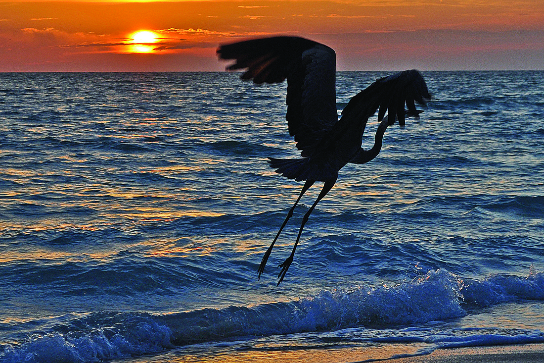 Paul Meese submitted this sunset photo, taken near Longboat Key Towers.