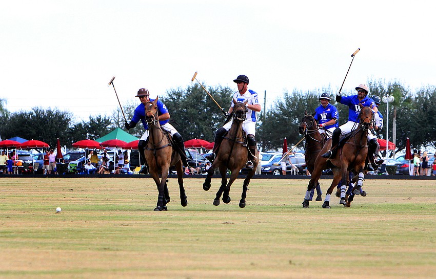 Wildcat Polo played M&I Wealth Management, Sunday, Jan. 20, out at the Sarasota Polo Grounds.