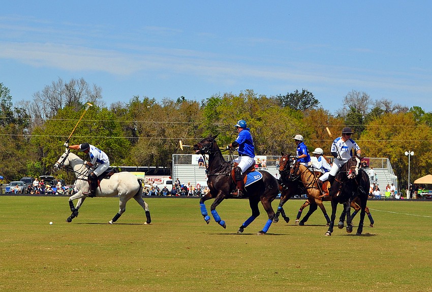 M&I Wealth Management played Wildcat Polo, Sunday, March 4, out at the Sarasota Polo Grounds. Wildcat Polo won.