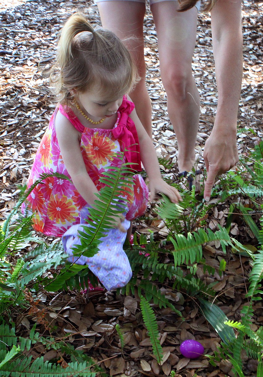 Gianni Smith, 23 mos., gets some help finding a purple egg in the bushes.