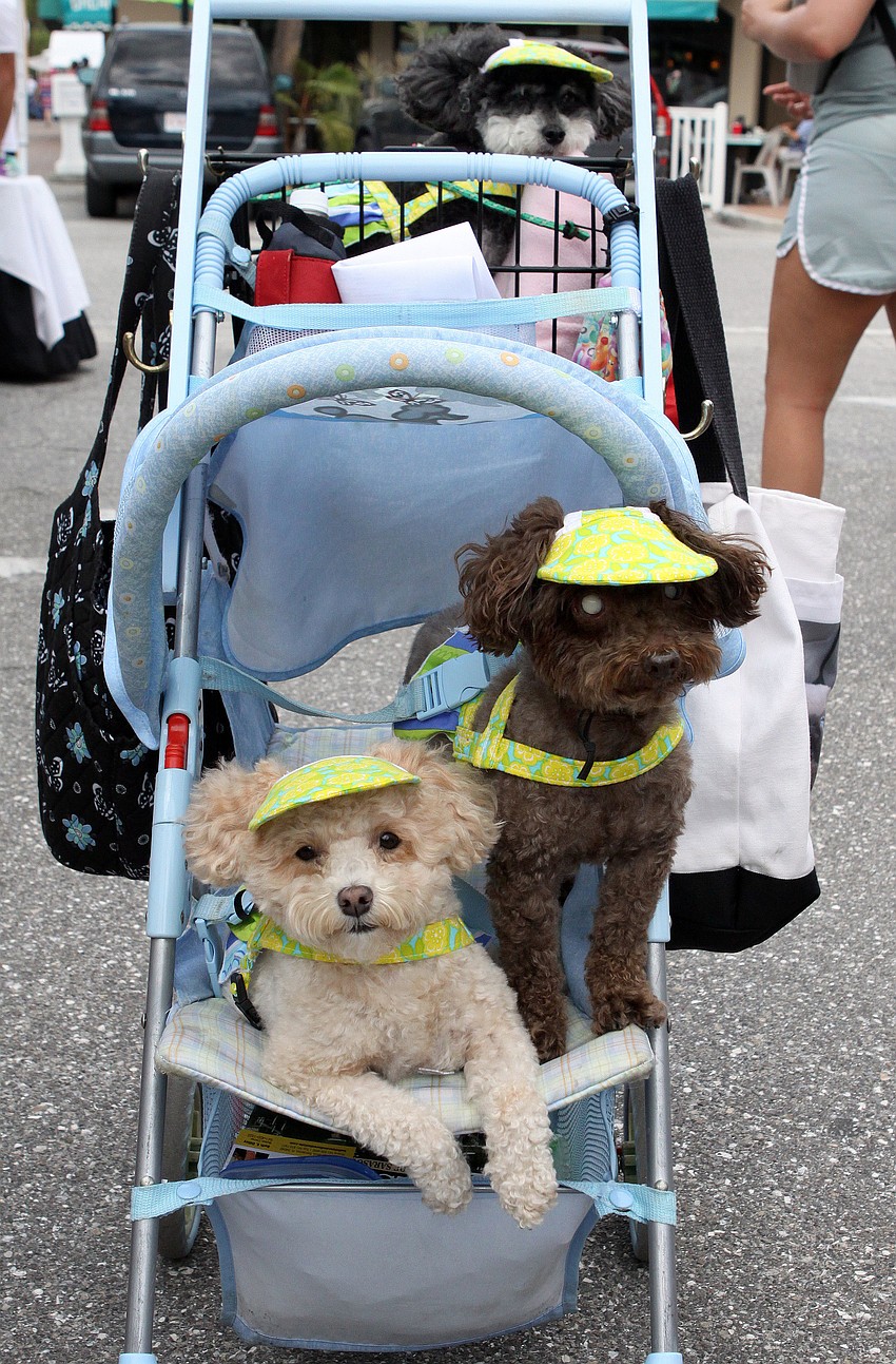 Karamel Kreme and Kupcake Kreme sit in the front of the stroller while Kispy Kreme rides in the back.