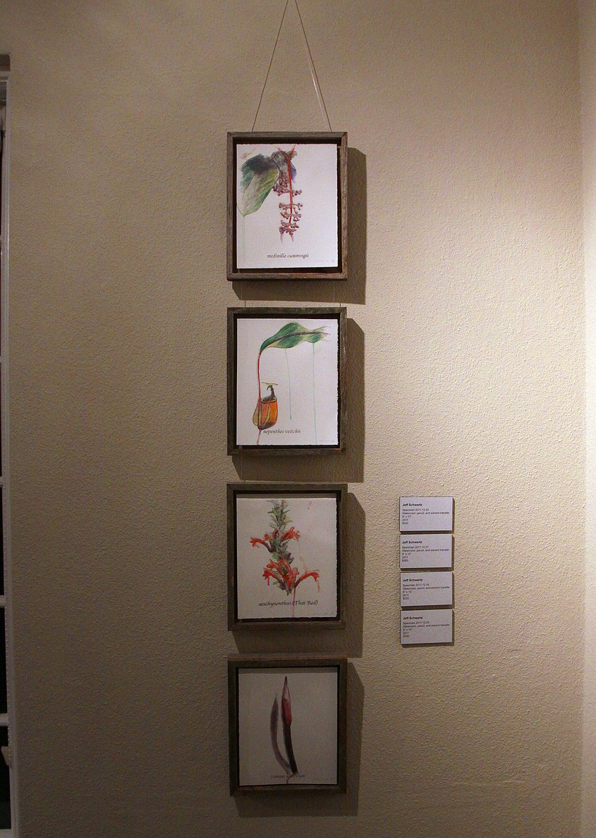 Jeff Schwartz's series of watercolor paintings hung together, vertically on a wall.