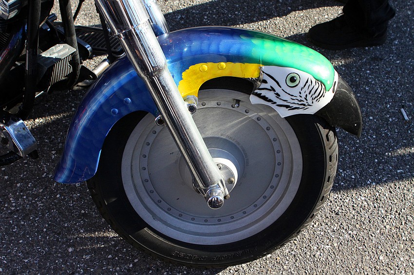 The owner of this bike had his bike painted like his bird, Spike.