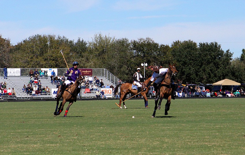 Wildcat Polo team played against the Siana Polo team, Sunday, Feb. 12.