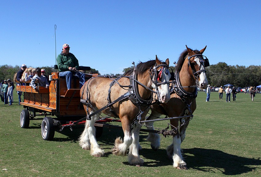 Kids had fun riding in the wagon attached to the two Clydesdale horses.