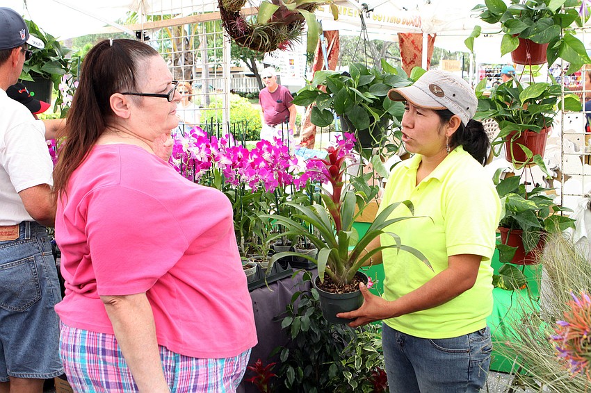 Peg Ulman and Edith Herrera talk about bromeliads.