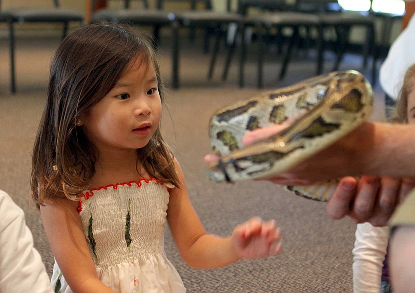 Makenna Geach reaches out to touch Lucky, a Burmese python.