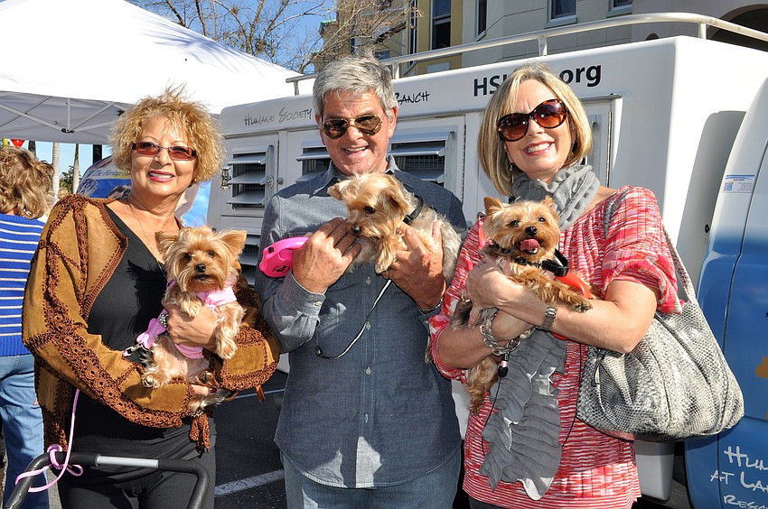 Gigi Hazelzet and her dog Lulu Mia enjoyed meeting fellow Yorkie lovers Rod and Kathy Forinash and their dogs Chloe and Zoe.