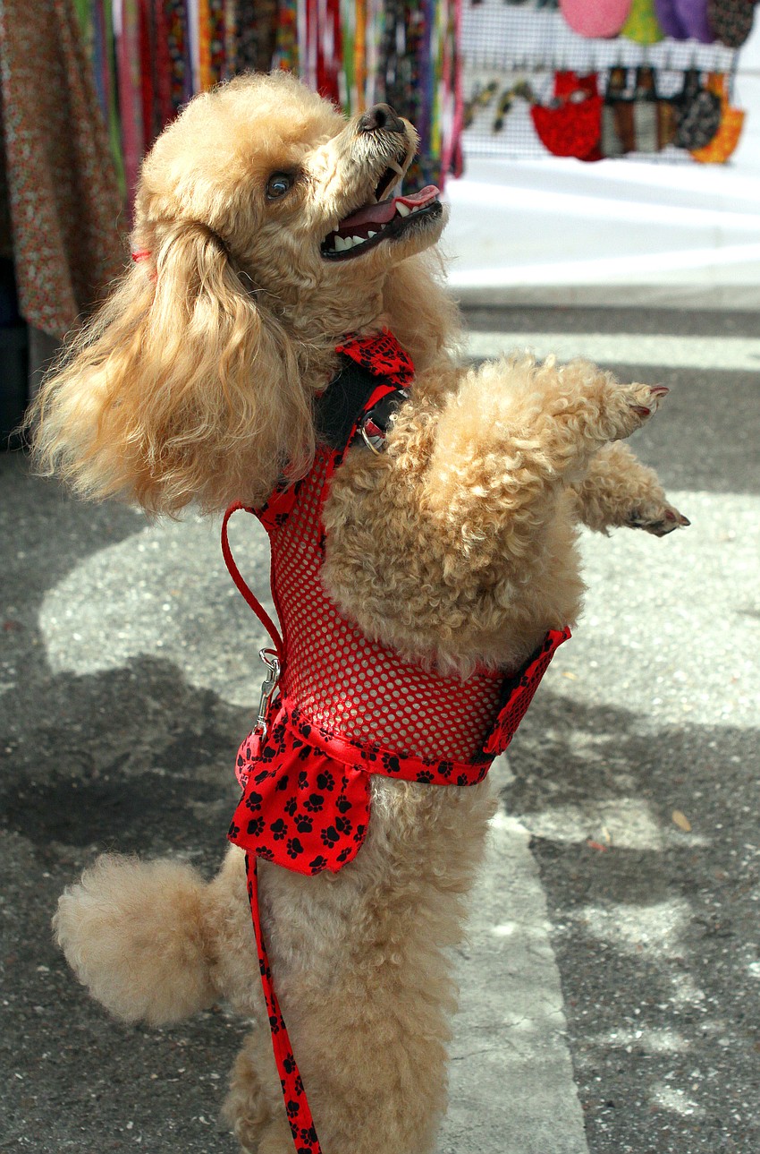 Angel models her new outfit by Sewing All.