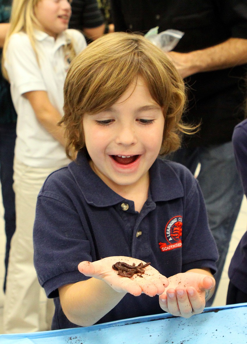 Shane Alba, 6, has fun playing with worms at the worm composting table.