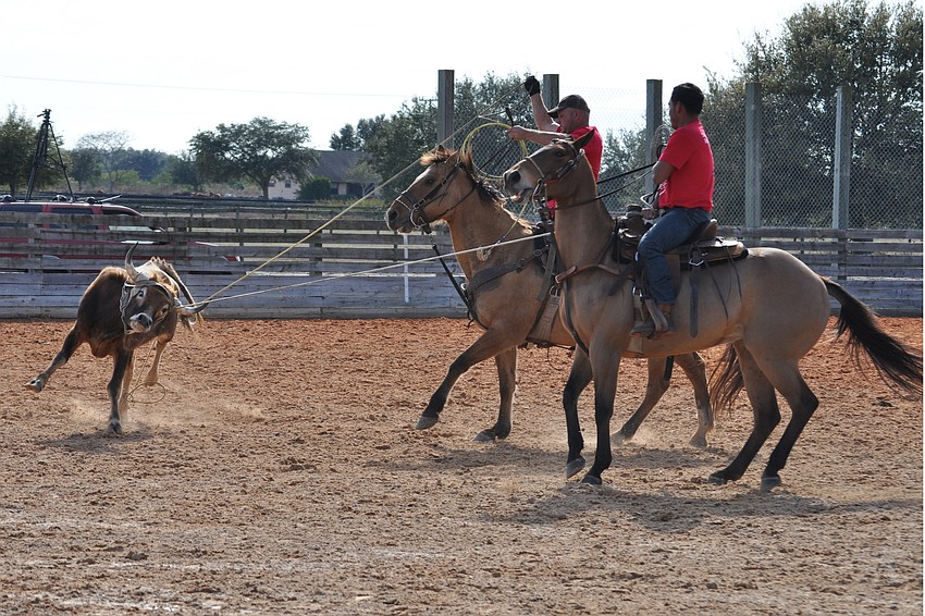 Cowboys and polo players competed in a variety of rodeo events, including cattle roping Jan. 28.