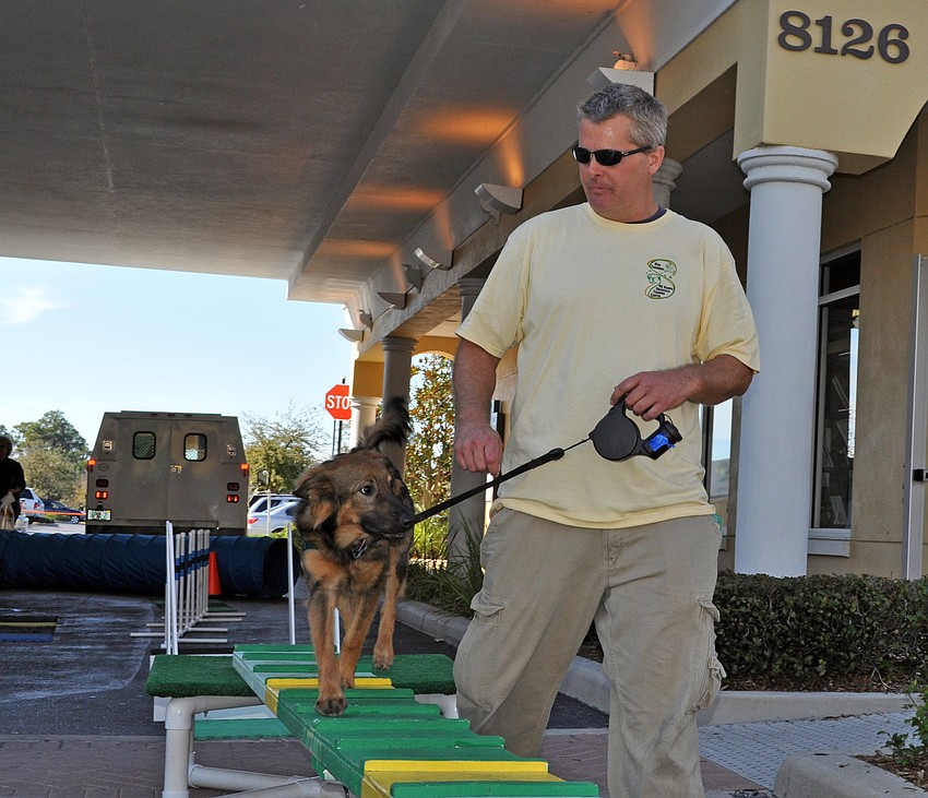 Mike Stelzel of K9 Korral works with 7-month-old Bandit.