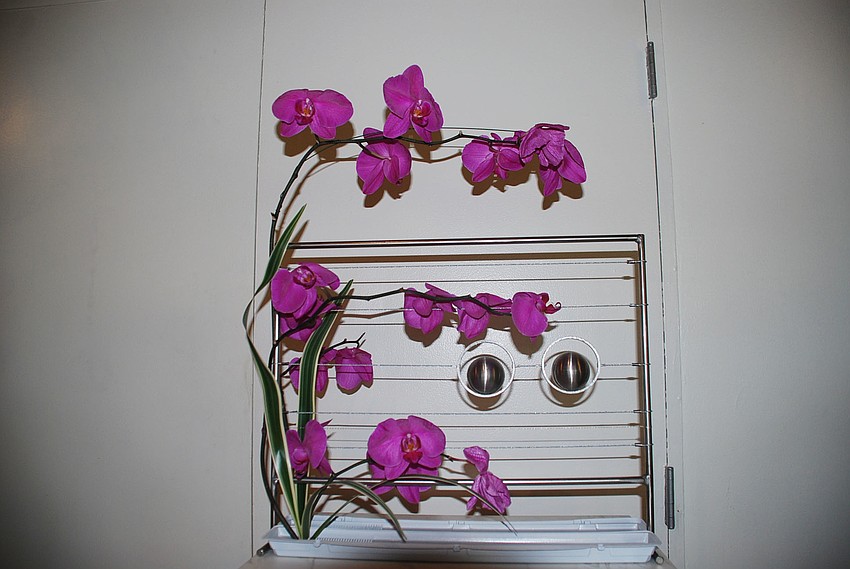 A more modern arrangement with orchids made by Parke Finold. Finold was awarded with honorable mention in his group, Architectural Styles.