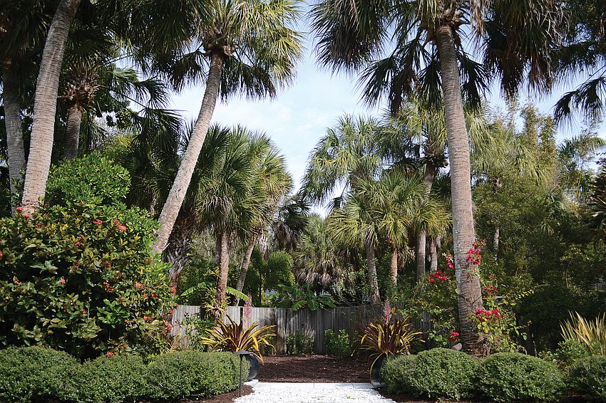â€œRipping the grass out was the second beautification project,â€ Rees said. â€œI had rabbits that ate my whole lawn. Once I switched the grass, they stopped eating it.â€
