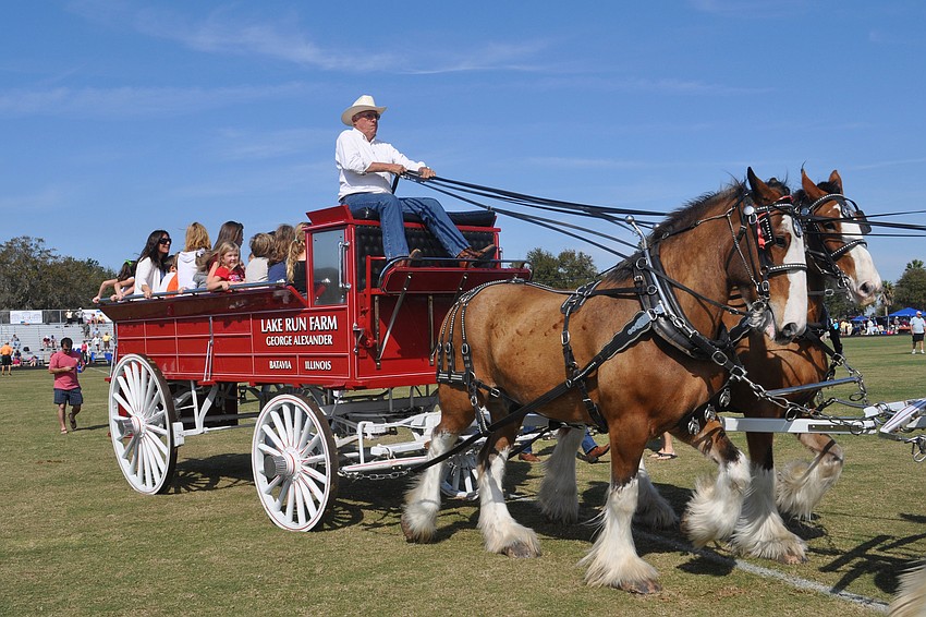 Families enjoyed wagon rides during halftime of the polo match.