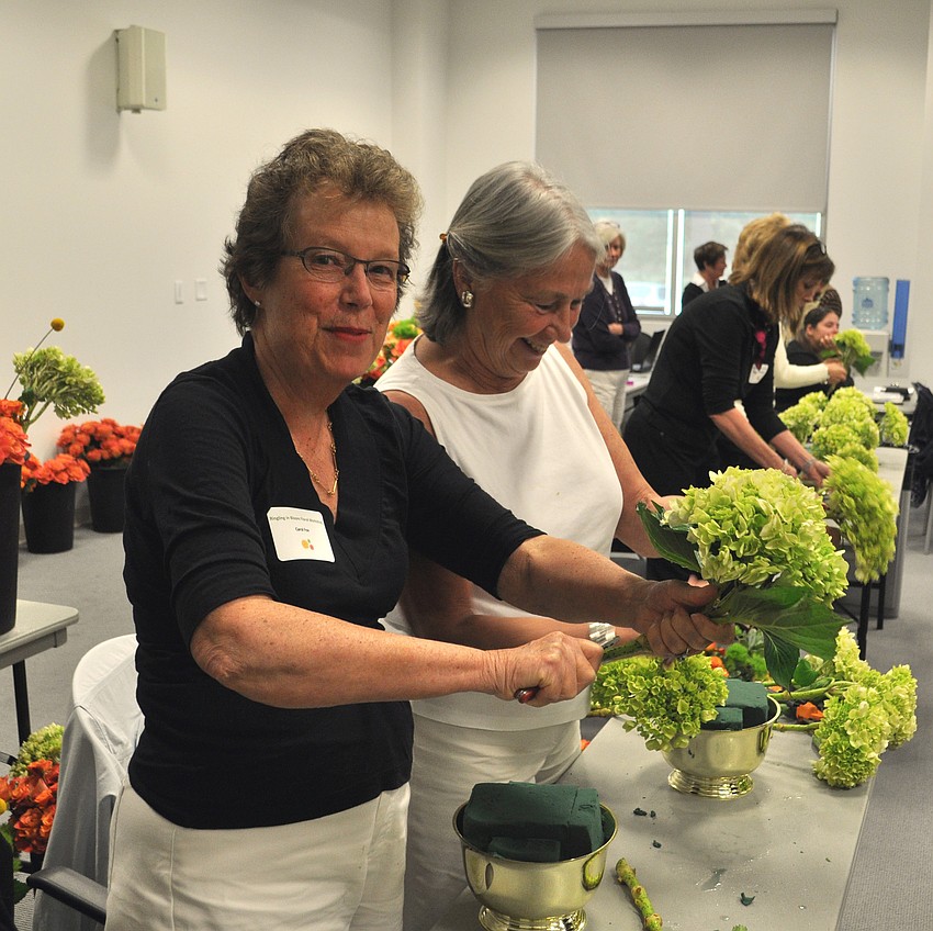 Carol Fox and Jan Swan