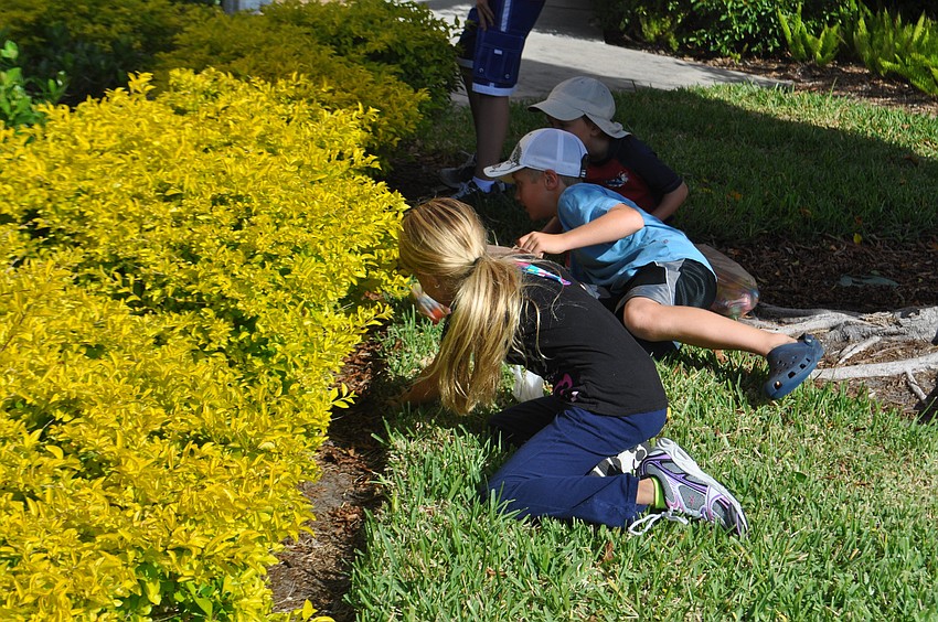 Bethany Dance, Adam Troyer and Luke Troyer dash to find the last remaining egg