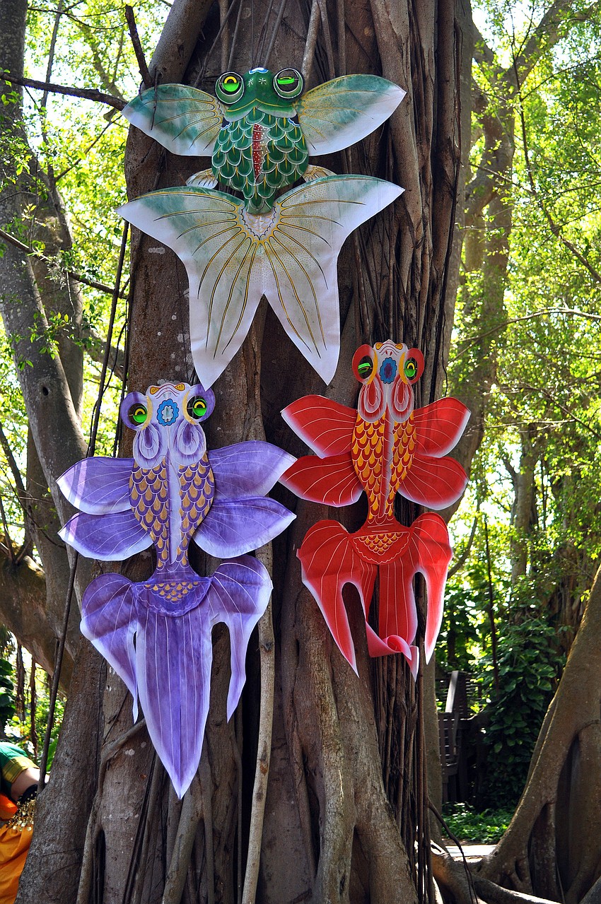 Decorative, Asian kites were placed up in some of the large Banyan trees at Selby Gardens 7th Annual Asian Cultural Festival.