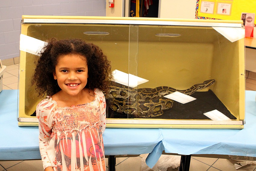 Mya Graham, 7, poses next to the snake from Sarasota Jungle Gardens.