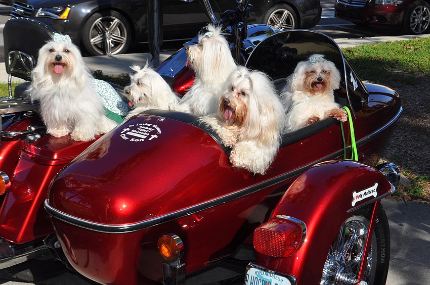 Maltese Bikers