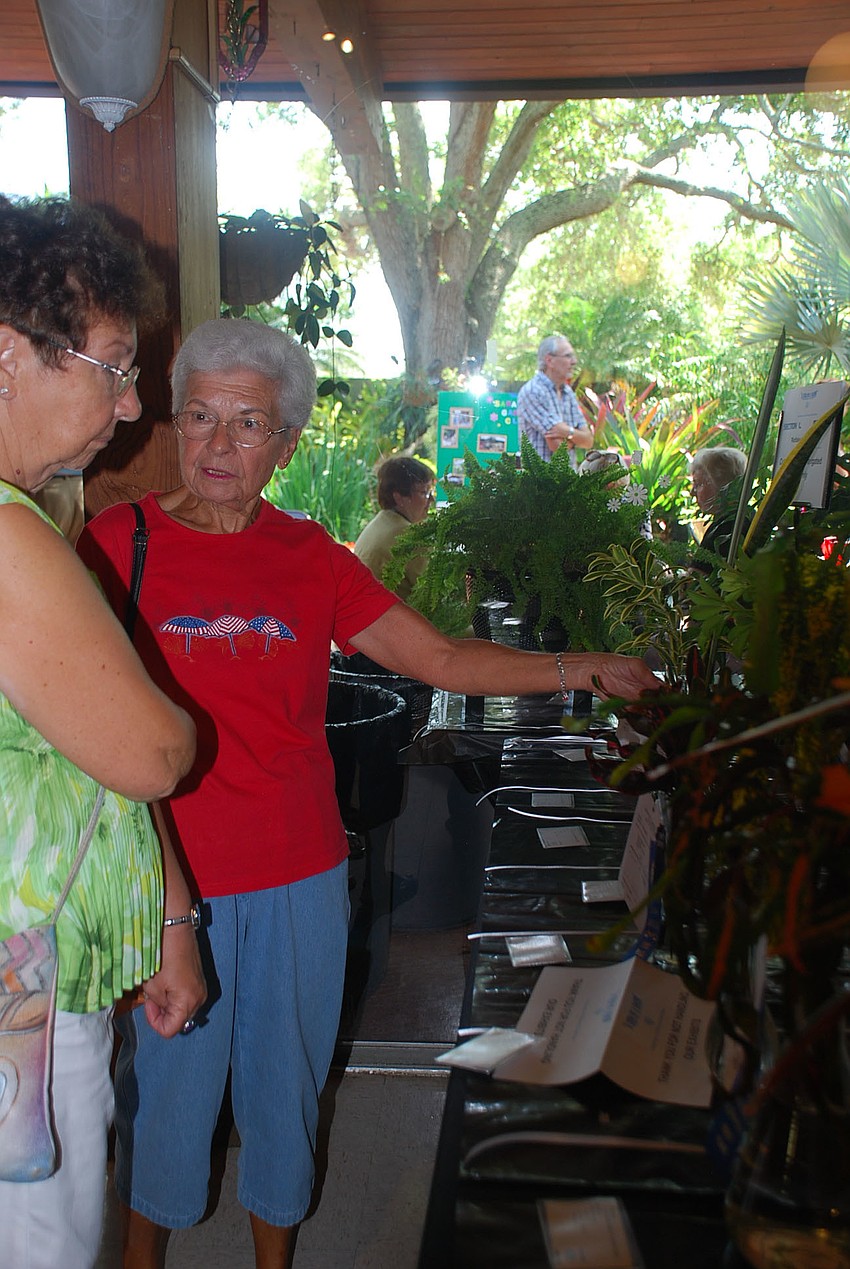 Helen Cook and Mary Lou Lema admiring the plants.