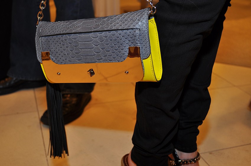 Susan Jones' purse â€” take two.