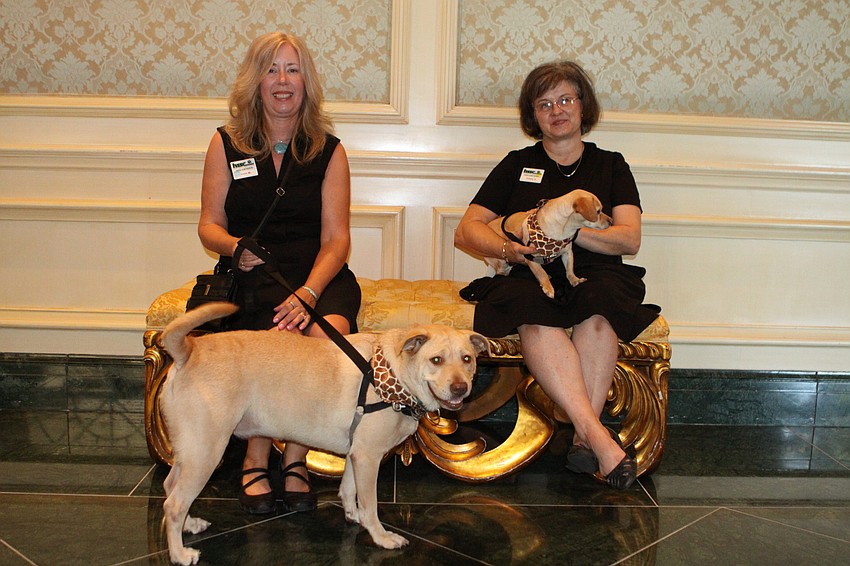 Joan Mauna and Pebbles with Ginny Hitchcock and Lolly