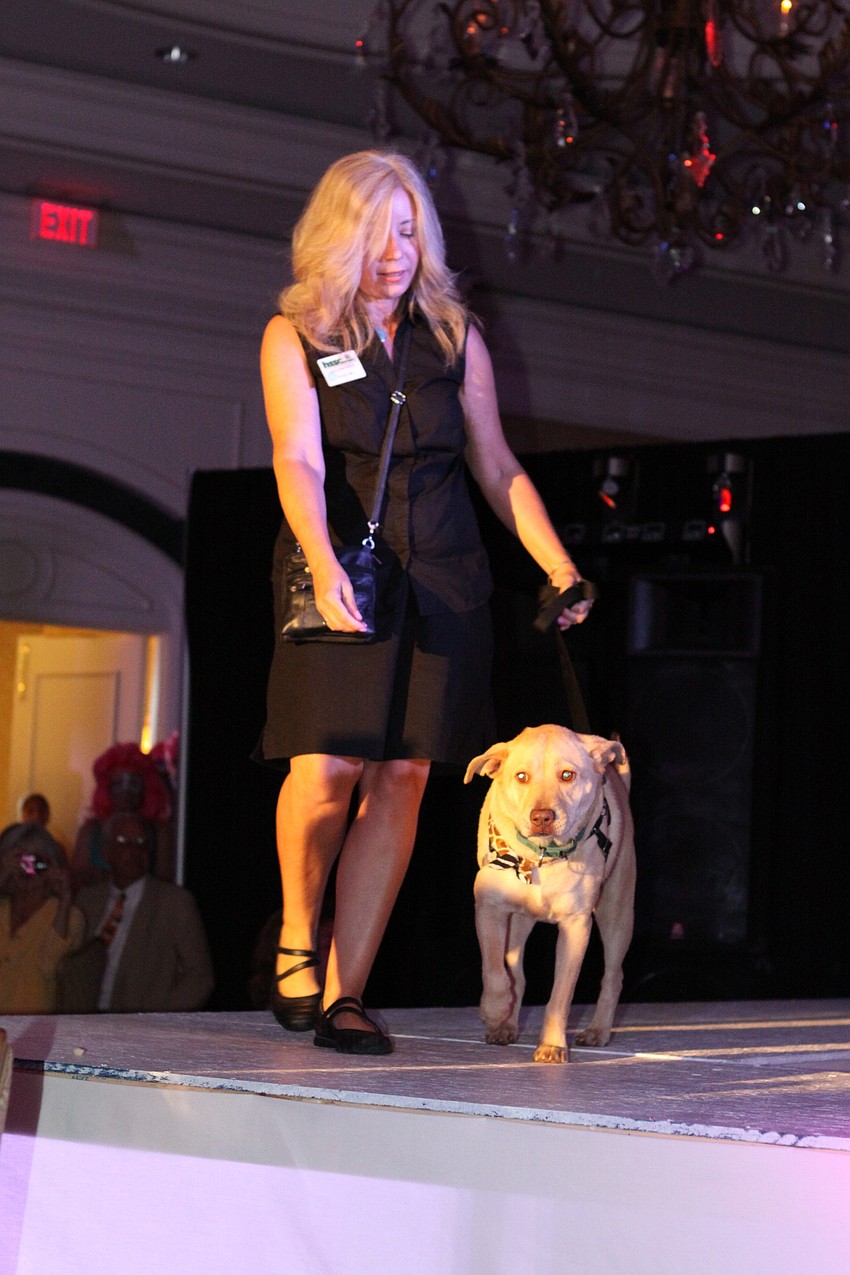 Models walked the runway in fashions by Shore, Banana Republic, Cache, Gap Kids, Martin Freeman and Sarasota Bride.