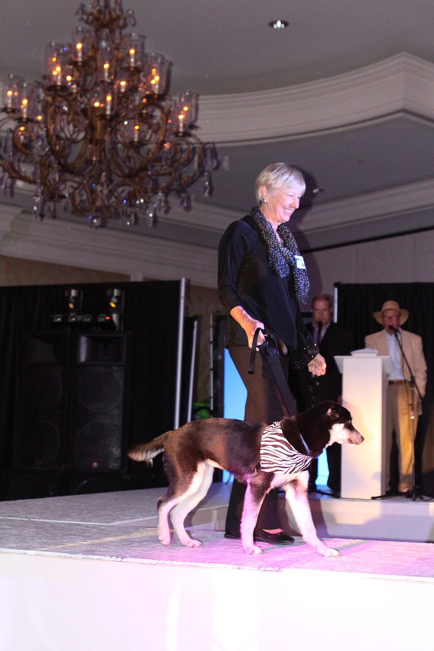 Models walked the runway in fashions by Shore, Banana Republic, Cache, Gap Kids, Martin Freeman and Sarasota Bride.