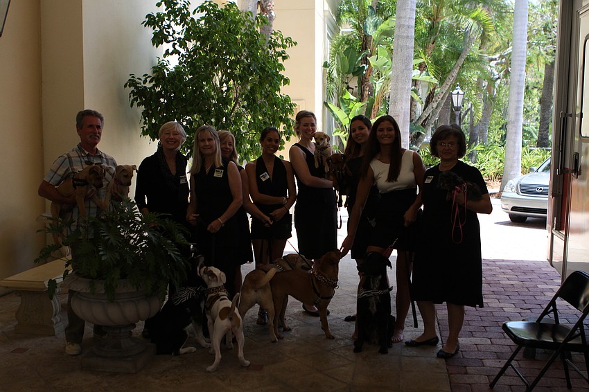 Humane Society volunteers with the dogs that walked the catwalk, Friday, April 27, at the 6th Annual Paws on the Catwalk event.