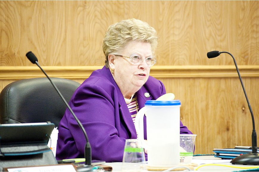 Mary DiStefano on the City Council. File photo
