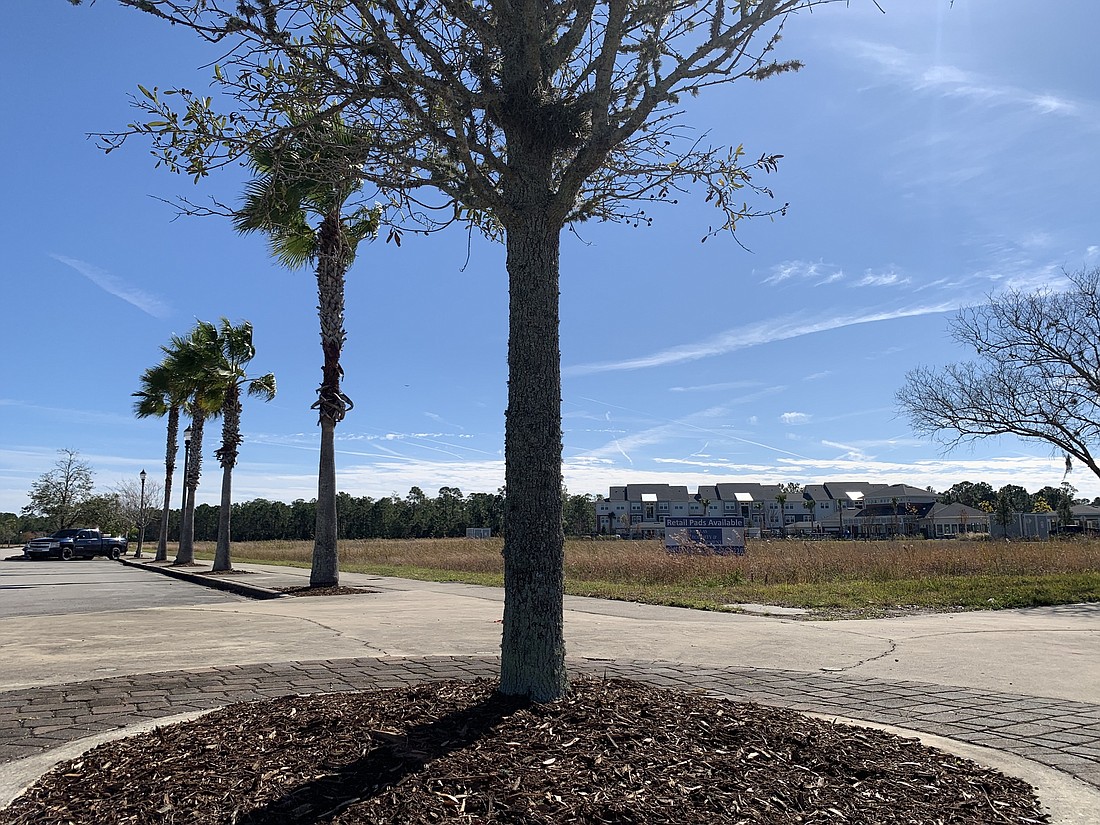 The Palm Apartments are in the distance, at the corner of Bulldog Drive and Central Avenue: the future home of the Entertainment District. Photo by Brian McMillan