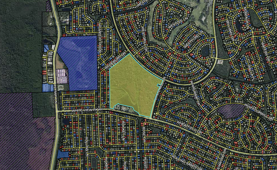 The Whiteview Village parcel, in yellow. Image from the Flagler County Property Appraiser's Office website