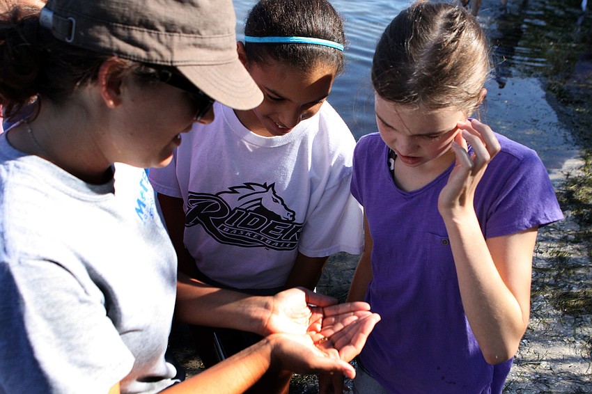 Dana Henderson of Mote looks at a small sea creature found by Sereena Feeney, 12, and Lauren Neily 12.